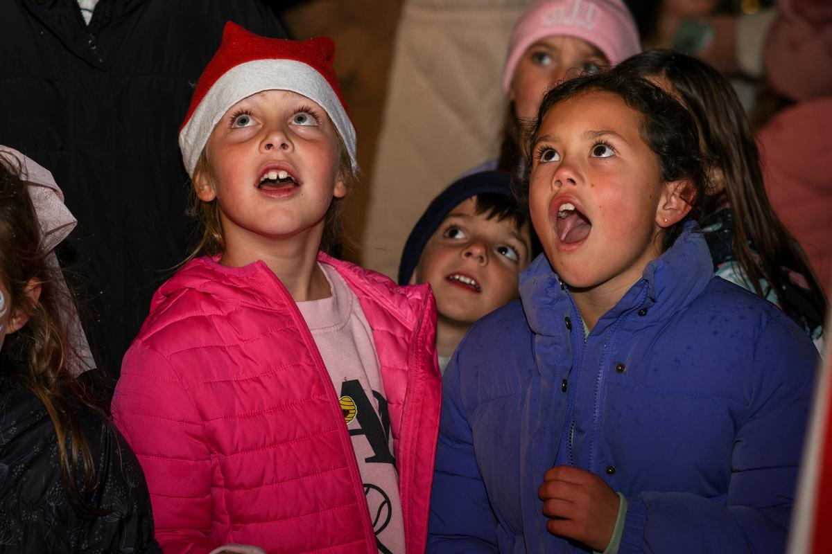 Credit One Stadium Tree Lighting Brings Holiday Magic to Daniel Island